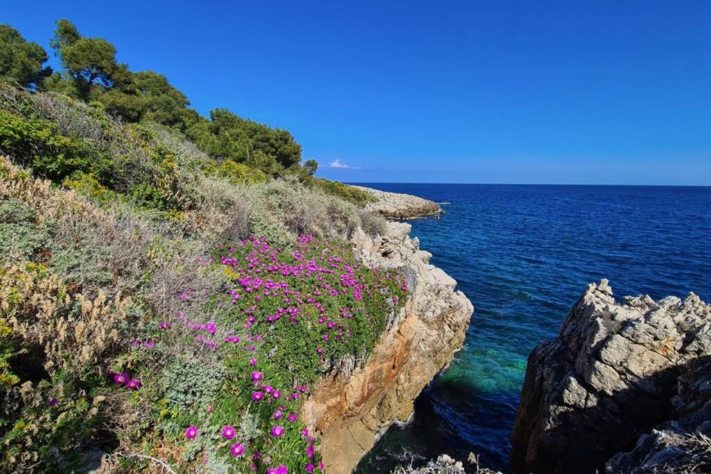 Casalionelantibes 70 Sqm Apartment With Garden And Parking Buitenkant foto