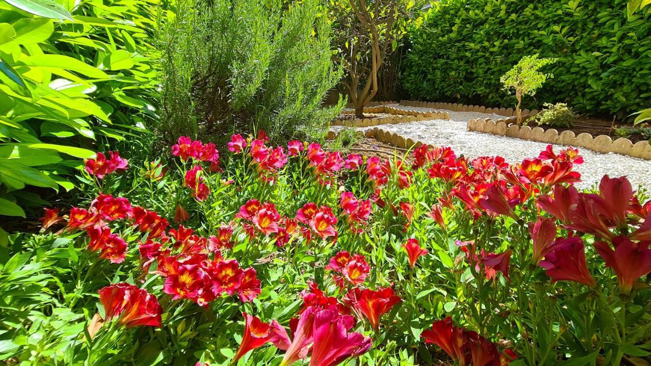 Casalionelantibes 70 Sqm Apartment With Garden And Parking Buitenkant foto