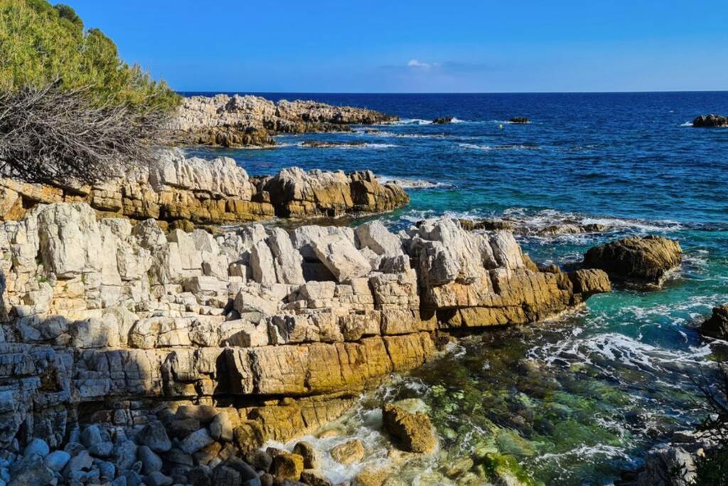 Casalionelantibes 70 Sqm Apartment With Garden And Parking Buitenkant foto